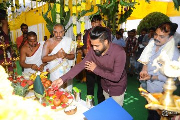 Ntr and Siva Koratala New Movie Opening